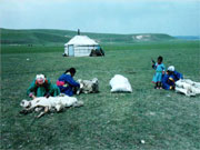 Cutting fleece