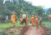 Little Buddhist Monks