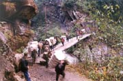 Suspension Bridge over the Dulong River